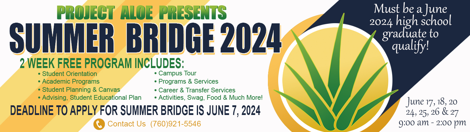 Summer Bridge 2024